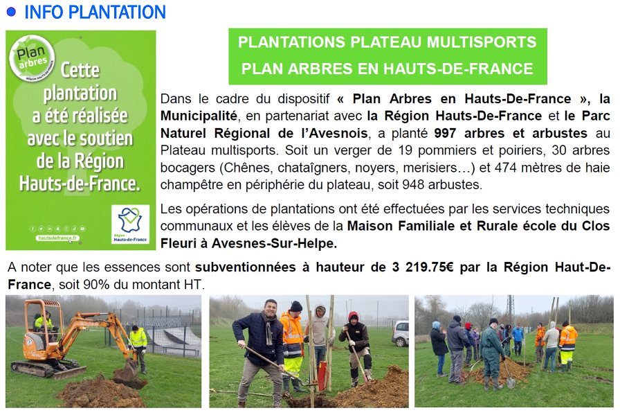 plantation