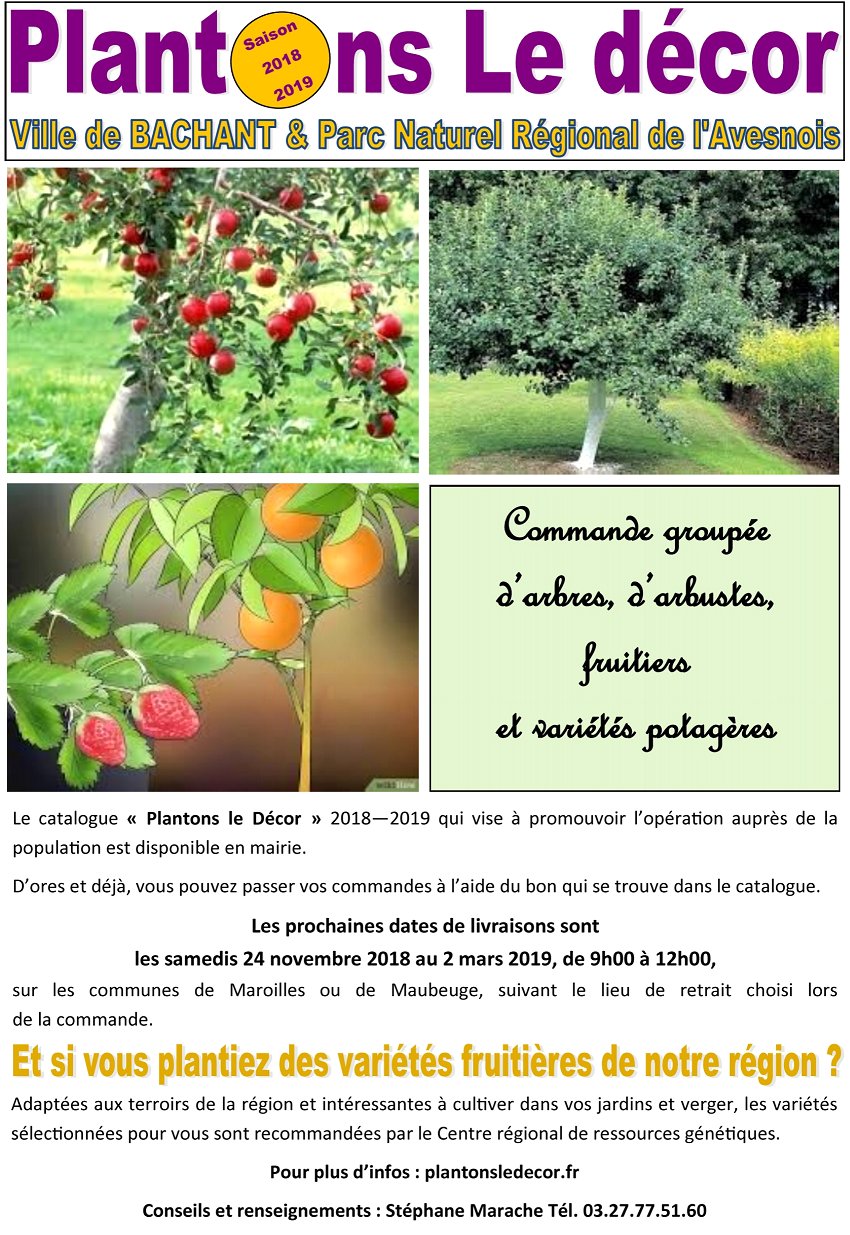 plantons