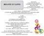 loto