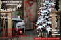 marche noel