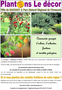 plantons
